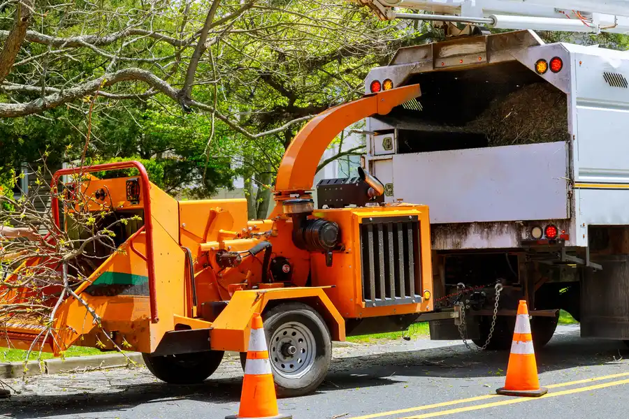 Key Benefits Of Hiring Licensed Tree Removal Professionals Currie, NC