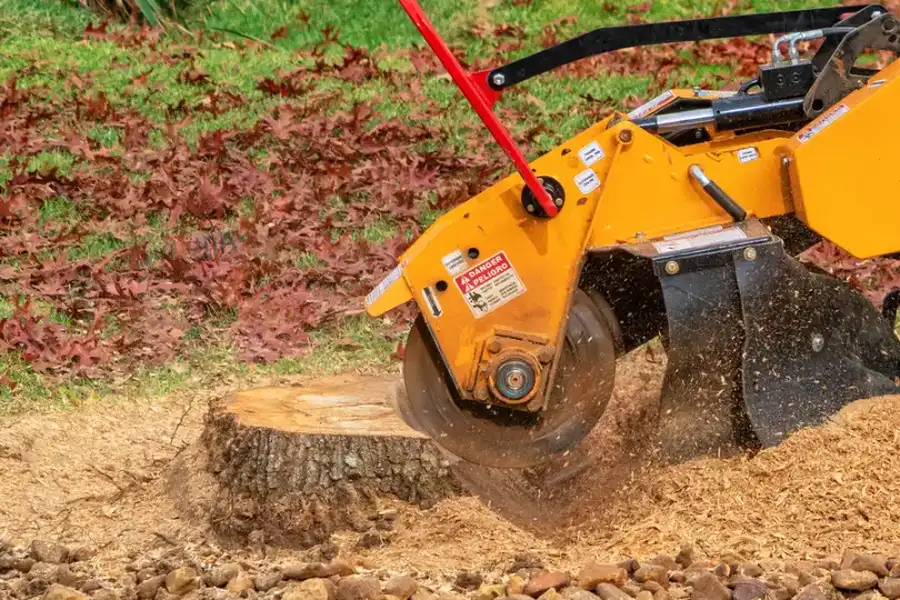 Professional Stump Grinding Currie, NC