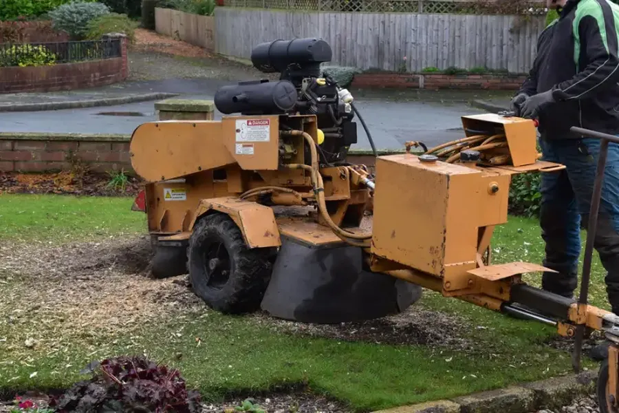 What To Expect After A Stump Grinding Service Currie, NC